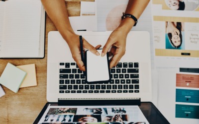 Website Accessibility for Piws – February 2025