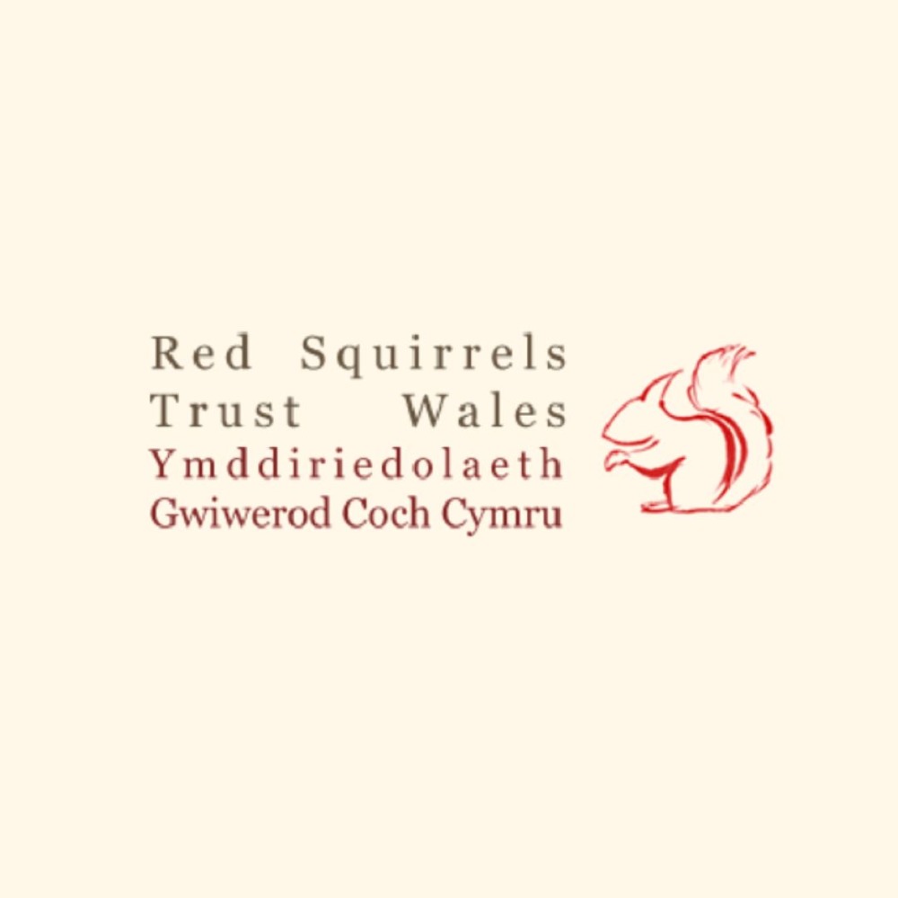 Red Squirrel Trust Wales New Logo